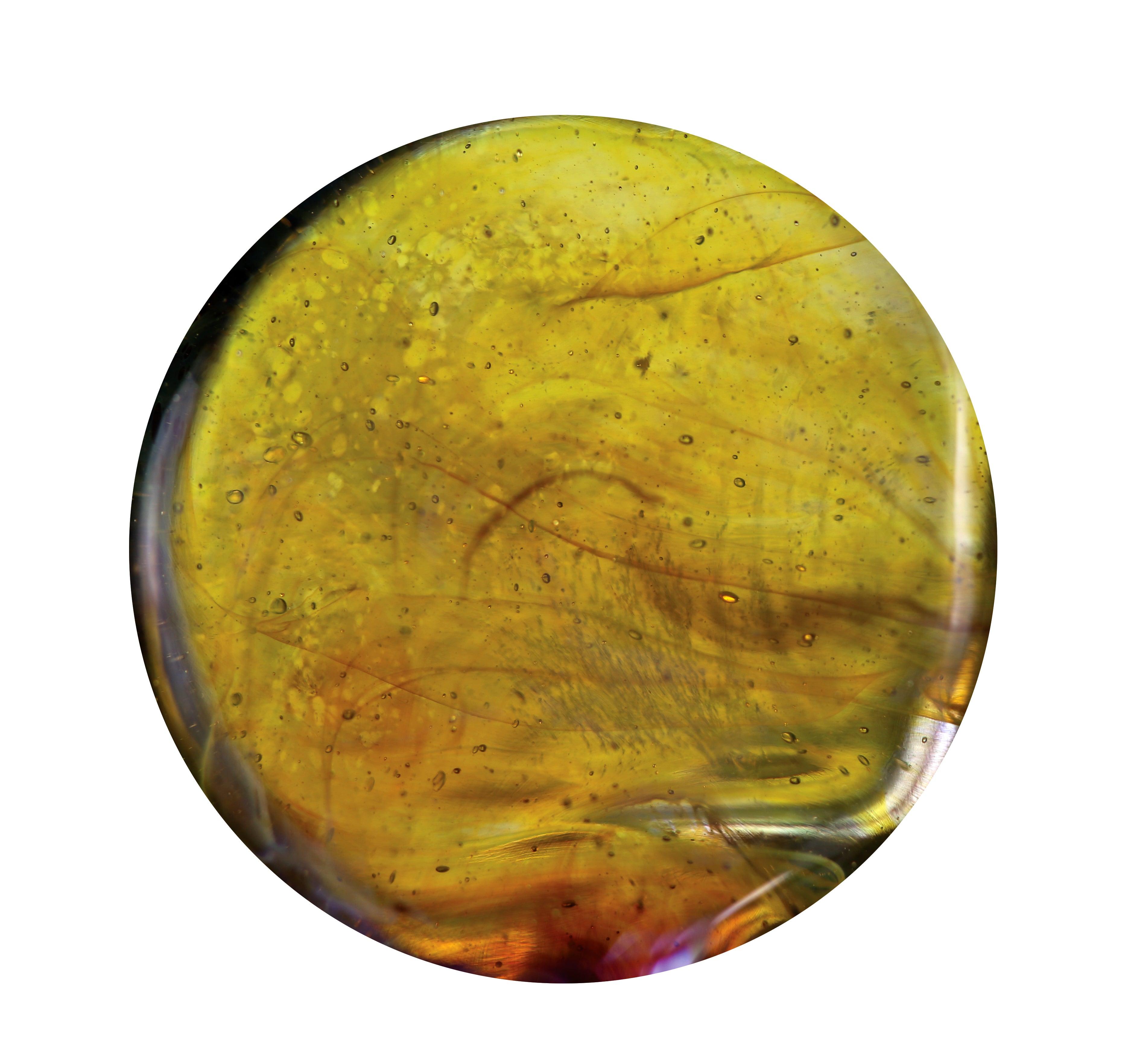 Momka´s Mombo Stab Exotic Citrus-Yellow
