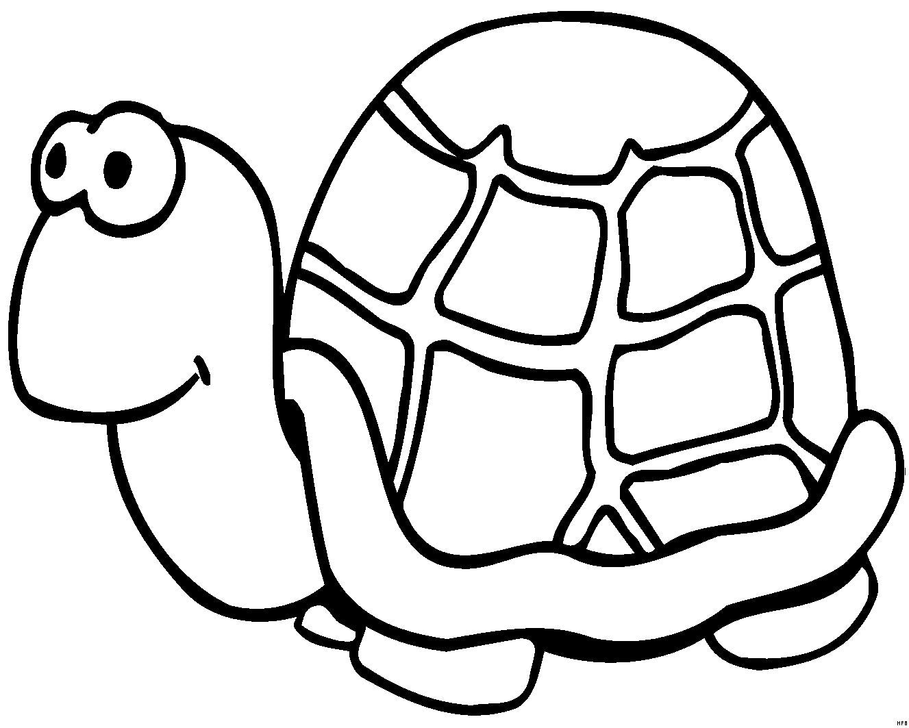 Dichroic Bild Schildkröte