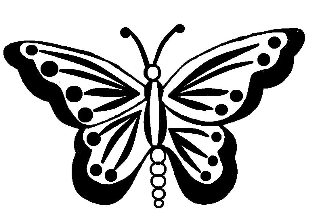 Dichroic Bild Schmetterling